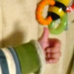 ちなぷりこさんのプロフィール画像