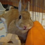 まりりんさんのプロフィール画像