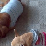 aromaさんのプロフィール画像