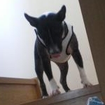 さとっぴさんのプロフィール画像