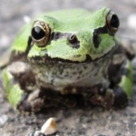 maiさんのプロフィール画像