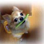 たかにょさんのプロフィール画像