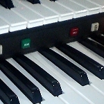 Dorothyさんのプロフィール画像