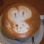 arakiさんのプロフィール画像