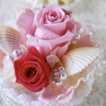 ちゃこさんのプロフィール画像