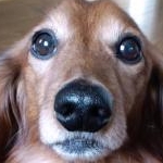 yokkoさんのプロフィール画像