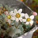 raginkoさんのプロフィール画像