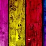 noelさんのプロフィール画像