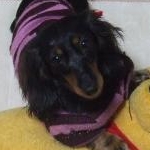 かぼんぬさんのプロフィール画像