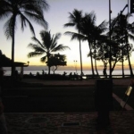 minipannさんのプロフィール画像