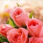 あんじゅさんのプロフィール画像