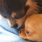 ｋａｚｕｍｉ&rsquo;ｎさんのプロフィール画像