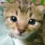 youさんのプロフィール画像