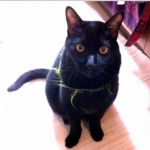 むらさんのプロフィール画像