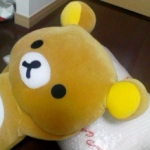 にゃんこさんのプロフィール画像