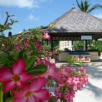 sooさんのプロフィール画像