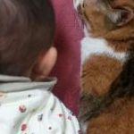 りんりんごさんのプロフィール画像