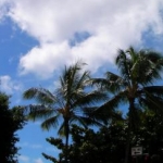 サブママさんのプロフィール画像