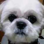 いちご３さんのプロフィール画像