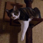 MAKIさんのプロフィール画像