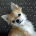 robinさんのプロフィール画像