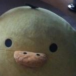 ぴよさんのプロフィール画像