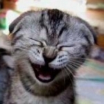 noriderさんのプロフィール画像