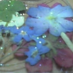 kubo-さんのプロフィール画像