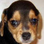 vavi22さんのプロフィール画像