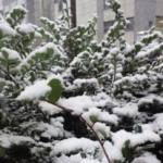 ふーーさんのプロフィール画像