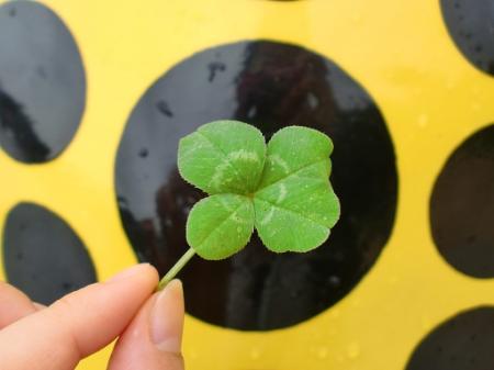 uraraさんのプロフィール画像