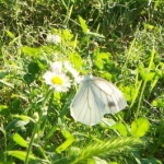 しきたんさんのプロフィール画像