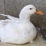 ちーちゃんさんのプロフィール画像