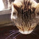 るっくさんのプロフィール画像