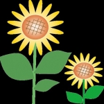 kirara0226さんのプロフィール画像