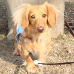 いちごみるくさんのプロフィール画像