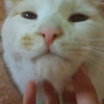 なつさんのプロフィール画像