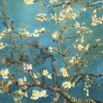 ボッティさんのプロフィール画像