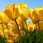 あいこっちさんのプロフィール画像