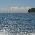 ばるすさんのプロフィール画像