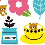 ウサねこさんのプロフィール画像