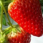 みみこさんのプロフィール画像