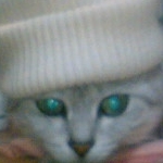 ピンクフラペチーノ