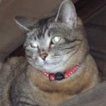 i_w*sh6*さんのプロフィール画像