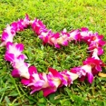 Ｒｉｎ-ｍａｍａさんのプロフィール画像