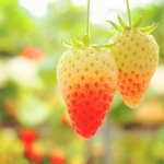 びすけったさんのプロフィール画像