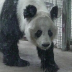 ゆうりんさんのプロフィール画像