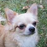 はにすけさんのプロフィール画像