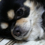 らぶりんさんのプロフィール画像