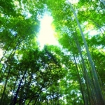 ☆ポチョコ☆さんのプロフィール画像